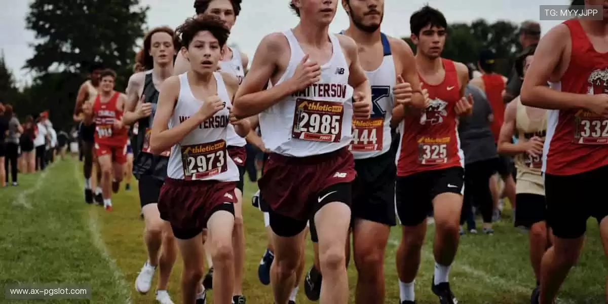 🏋️‍♂️专业品质，耐用舒适！从健身器材到运动服饰，你的健康首选！🎽